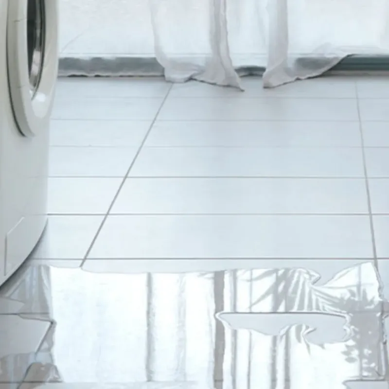 Appliance Leak Cleanup in Cadillac, MI